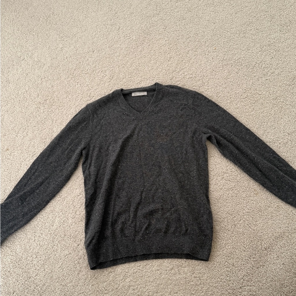 Everlane Cashmere Charcoal V-Neck Sweater for Men